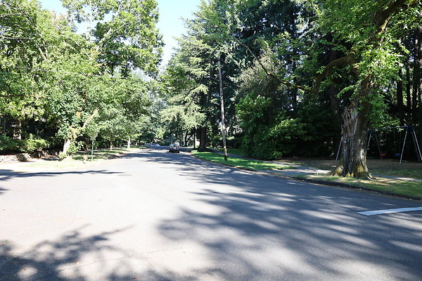 Crystal Springs SS 047