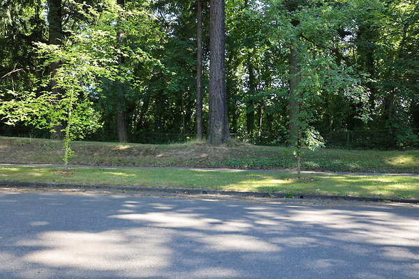 Crystal Springs SS 053