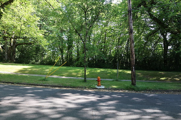 Crystal Springs SS 071