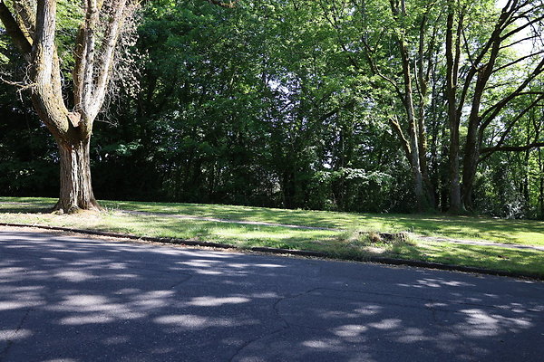 Crystal Springs SS 064