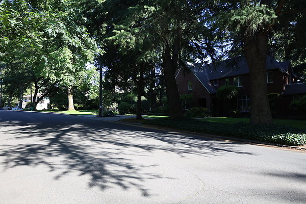 Crystal Springs SS 039