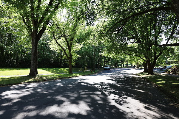 Crystal Springs SS 066