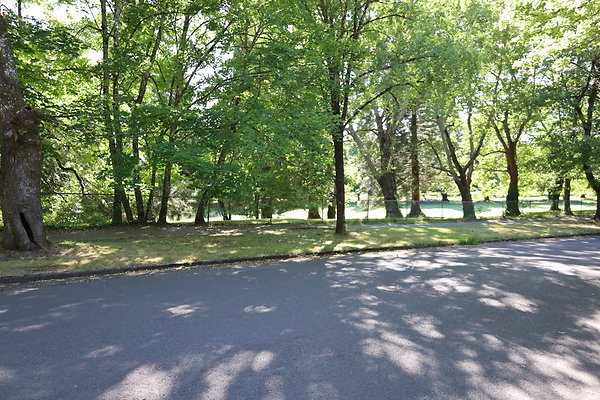 Crystal Springs SS 079