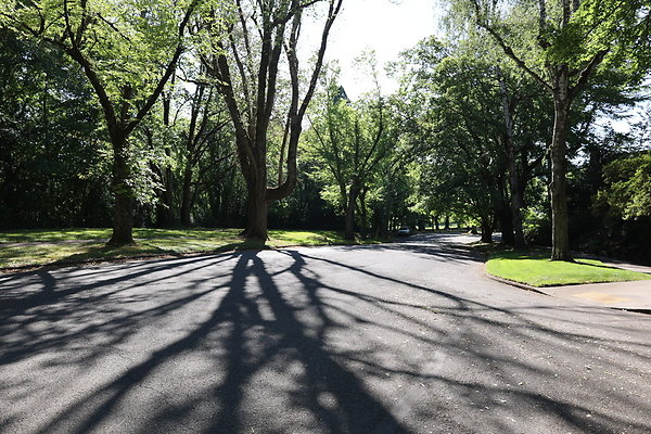 Crystal Springs SS 060