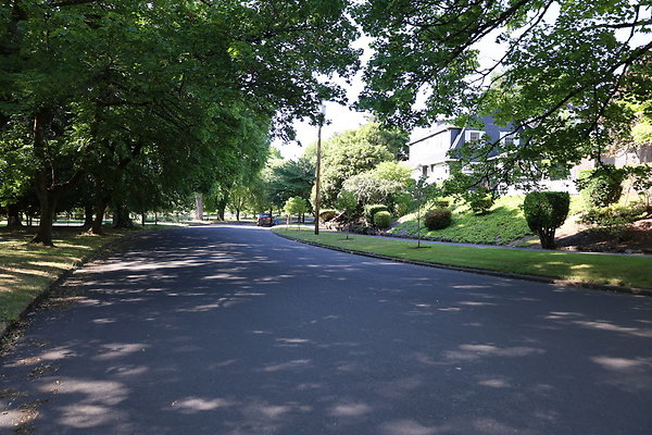 Crystal Springs SS 083