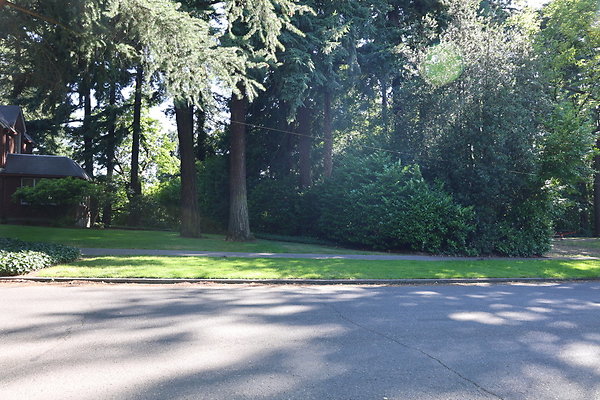 Crystal Springs SS 041