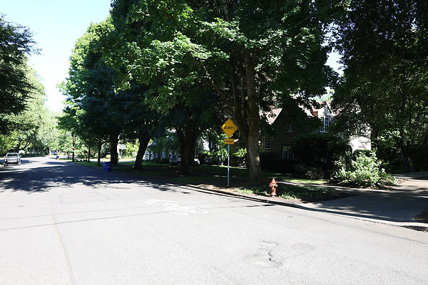 Crystal Springs SS 007