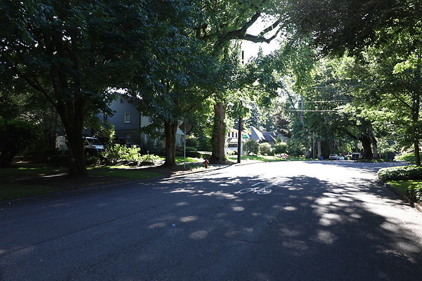 Crystal Springs SS 005