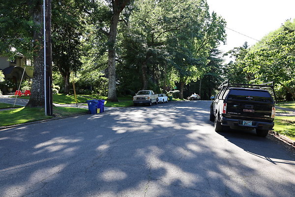 Crystal Springs SS 021