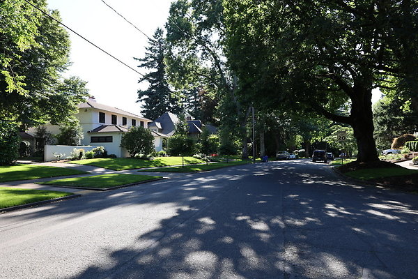 Crystal Springs SS 011