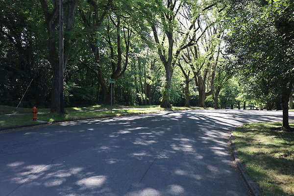 Crystal Springs SS 055