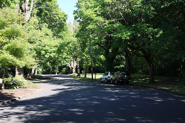 Crystal Springs SS 088