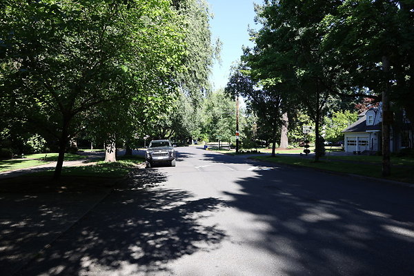 Crystal Springs SS 001