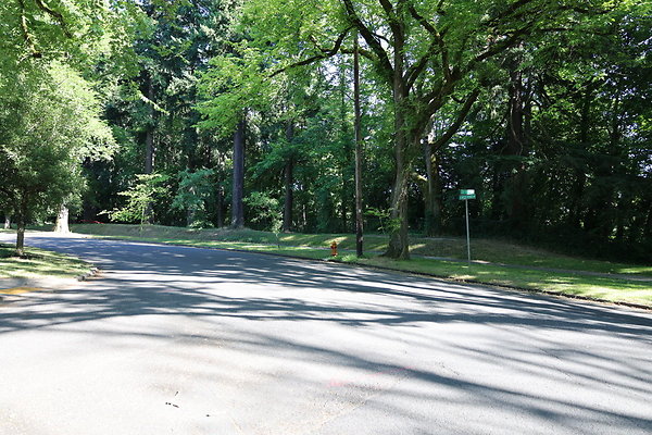 Crystal Springs SS 057