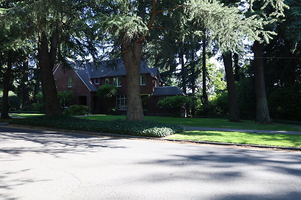 Crystal Springs SS 040