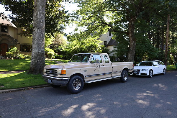 Crystal Springs SS 025