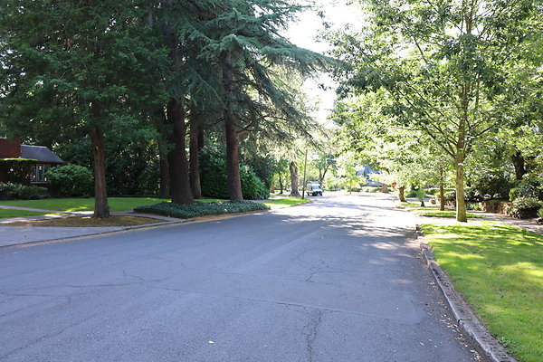 Crystal Springs SS 037