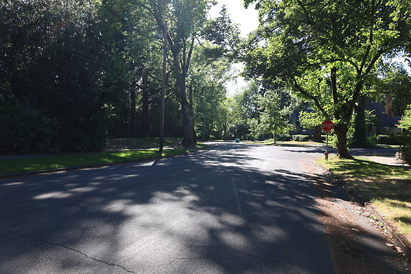 Crystal Springs SS 042