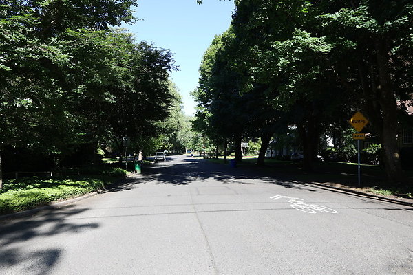 Crystal Springs SS 006