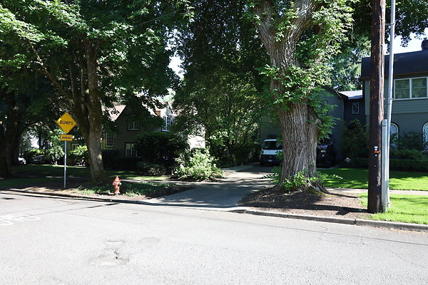 Crystal Springs SS 008