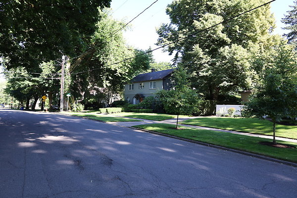 Crystal Springs SS 018