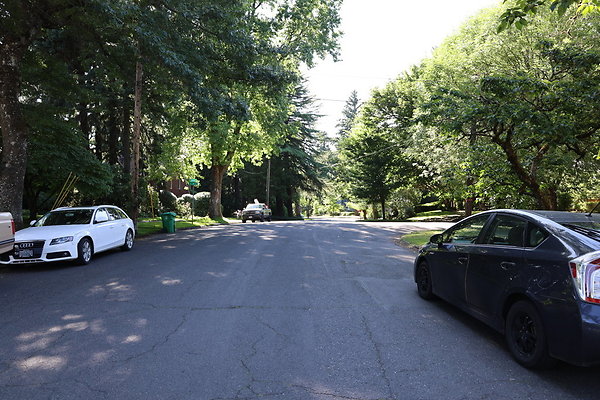 Crystal Springs SS 026