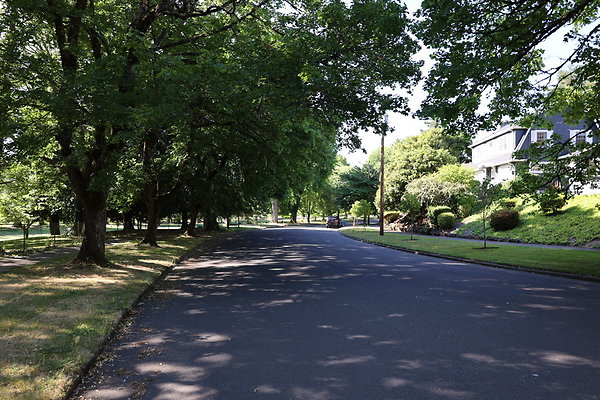 Crystal Springs SS 081