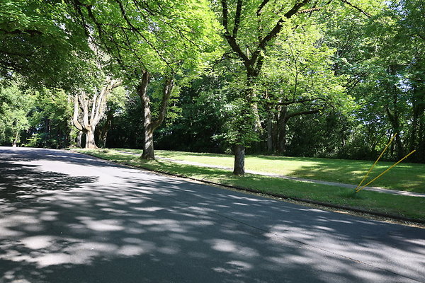 Crystal Springs SS 070