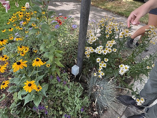 8.14 Reed-Collage Area 7429 SE 28th  House-Streets Pre tech images 81