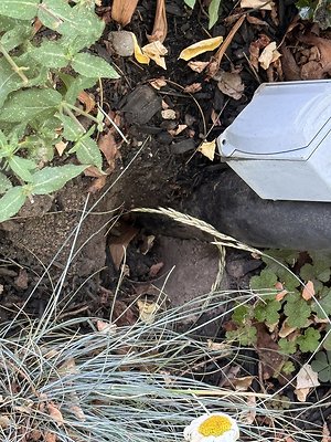 8.14 Reed-Collage Area 7429 SE 28th  House-Streets Pre tech images 80