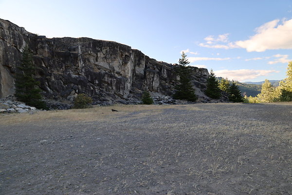 Government Island 048