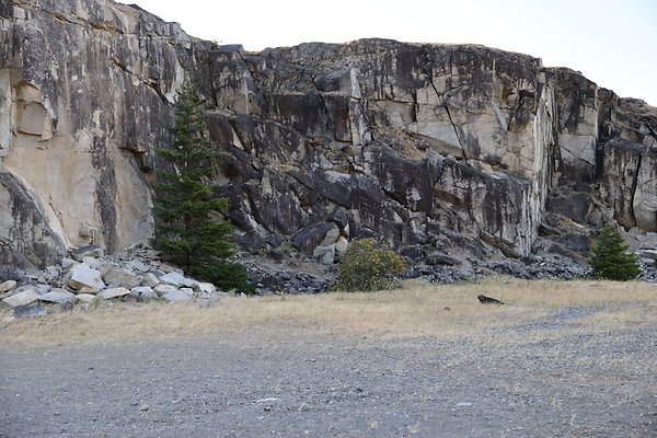 Government Island 052