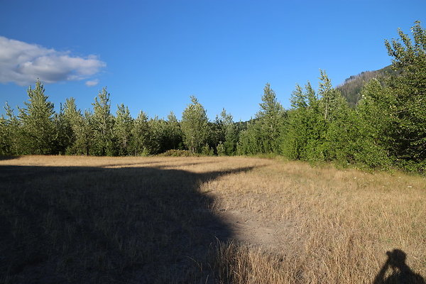 Government Island 017