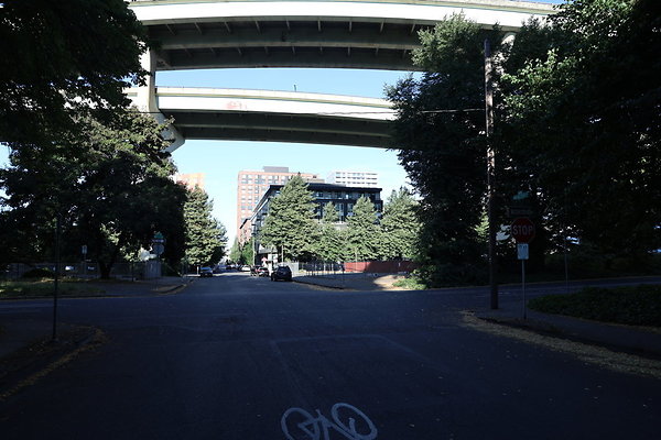 NW Raliegh North 011