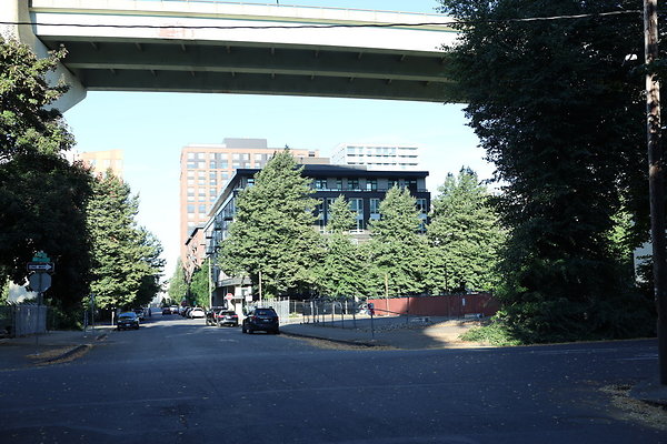 NW Raliegh North 012