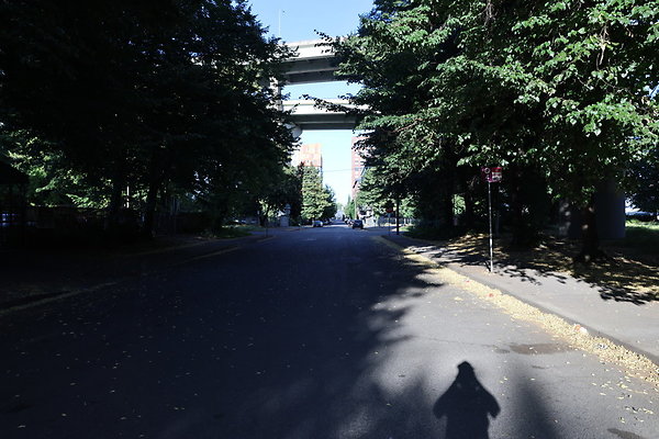 NW Raliegh North 006