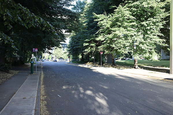 NW Raliegh North 004