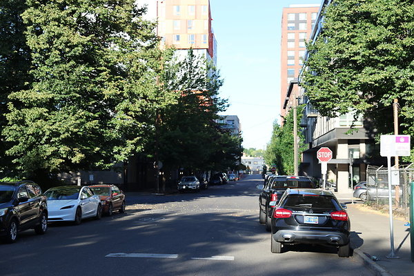 NW Raliegh North 026