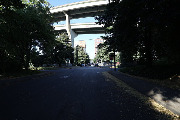 NW Raliegh North 008