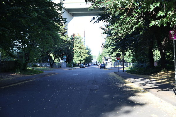 NW Raliegh North 007