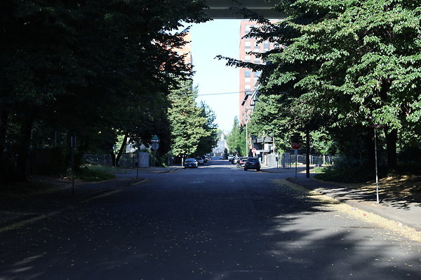 NW Raliegh North 003