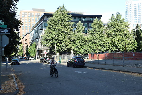 NW Raliegh North 019