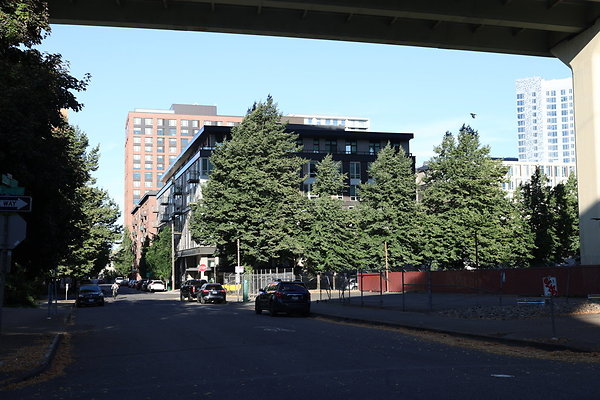 NW Raliegh North 014