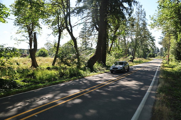 S Freyer Park Rd 022