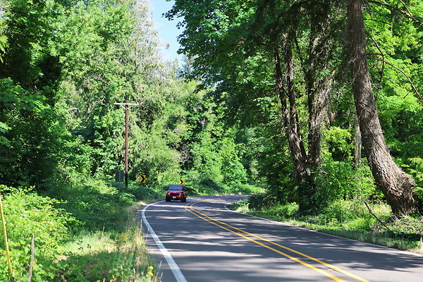 S Freyer Park Rd 090