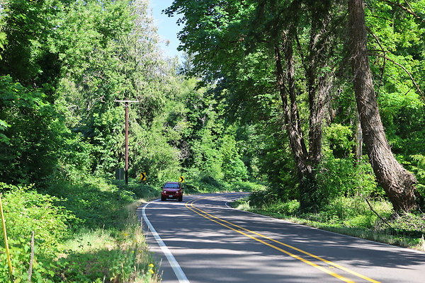 S Freyer Park Rd 094