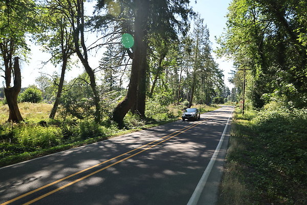 S Freyer Park Rd 015