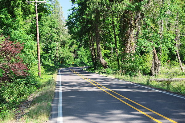 S Freyer Park Rd 086