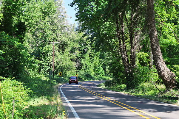 S Freyer Park Rd 092