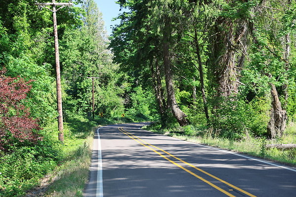 S Freyer Park Rd 088